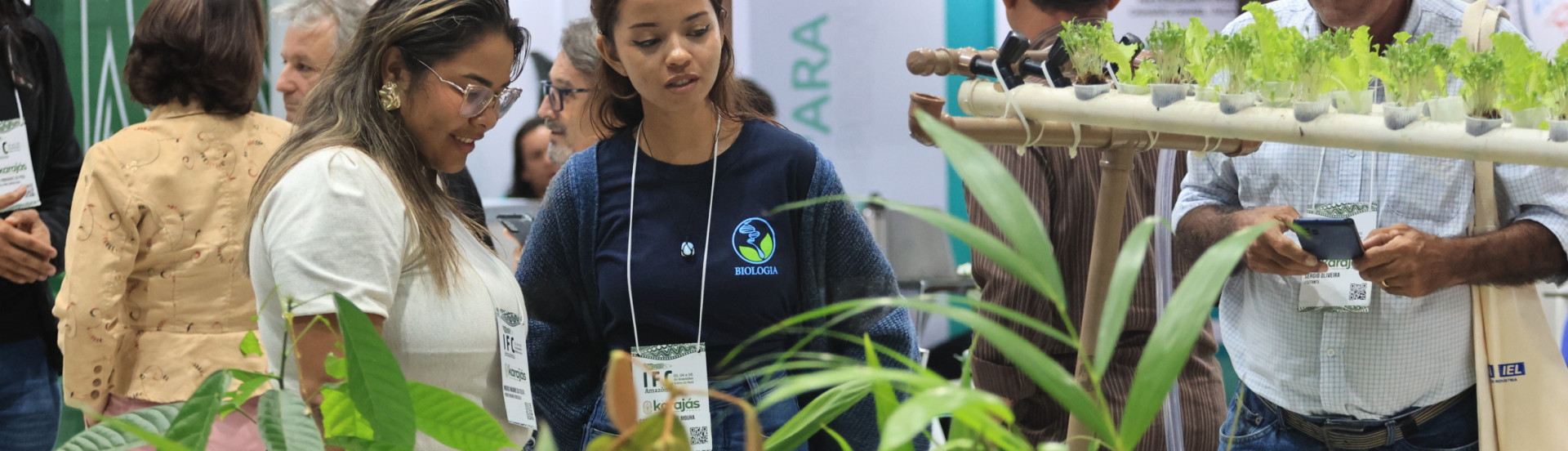ASN Pará - Agência Sebrae de Notícias