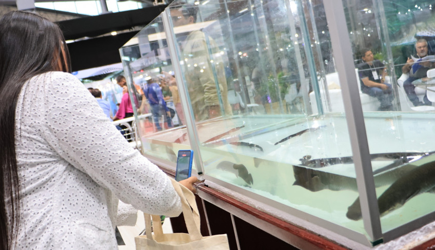 ASN Pará - Agência Sebrae de Notícias