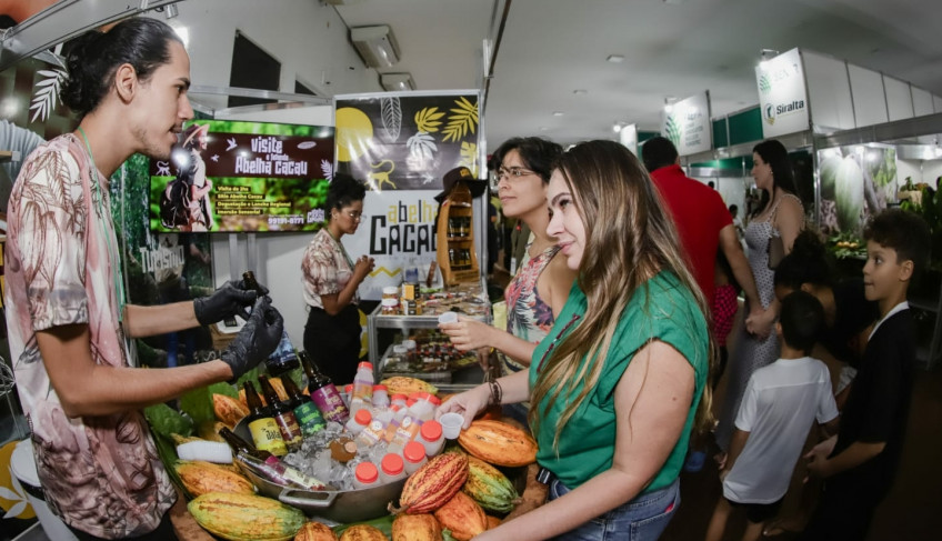 ASN Pará - Agência Sebrae de Notícias