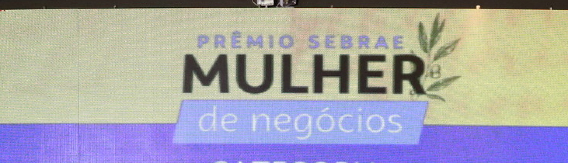 ASN Pará - Agência Sebrae de Notícias