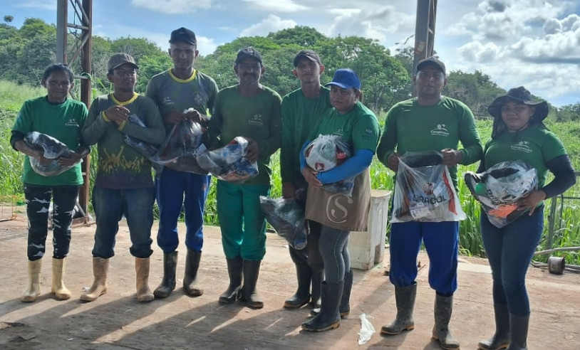 ASN Pará - Agência Sebrae de Notícias