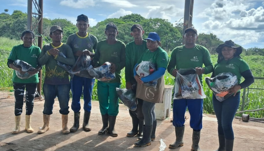 ASN Pará - Agência Sebrae de Notícias