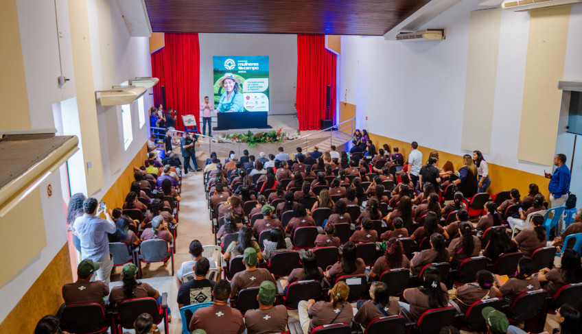 ASN Pará - Agência Sebrae de Notícias