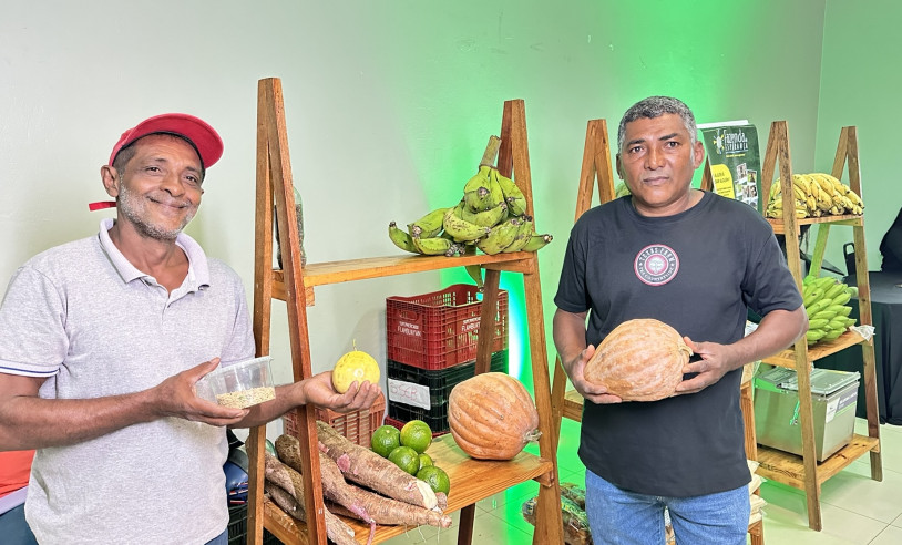 ASN Pará - Agência Sebrae de Notícias