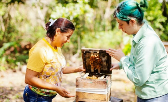 ASN Pará - Agência Sebrae de Notícias