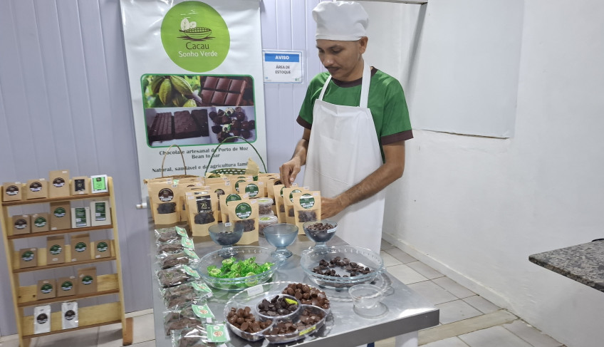ASN Pará - Agência Sebrae de Notícias