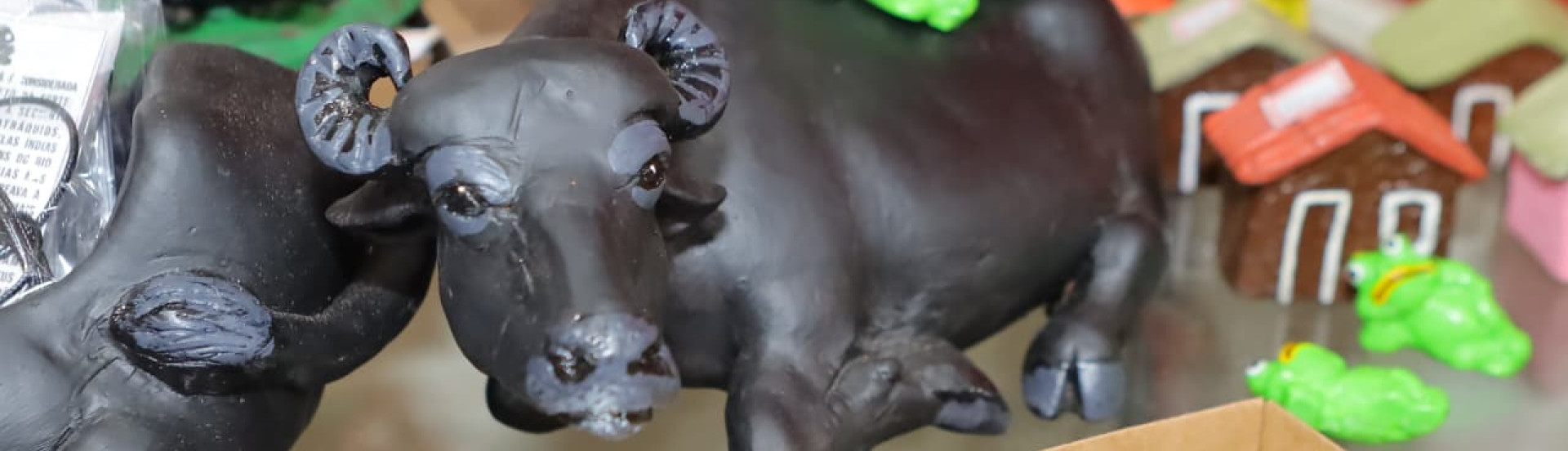 ASN Pará - Agência Sebrae de Notícias