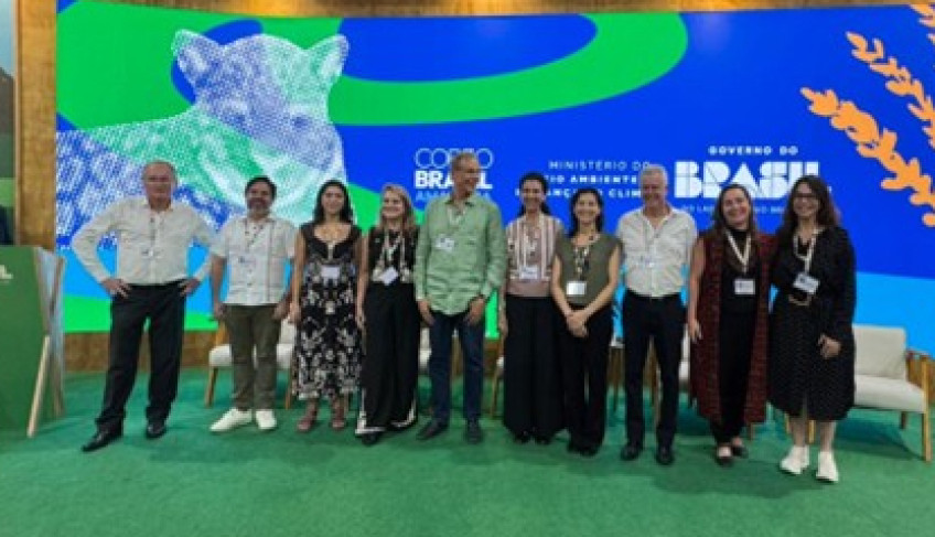 ASN Pará - Agência Sebrae de Notícias