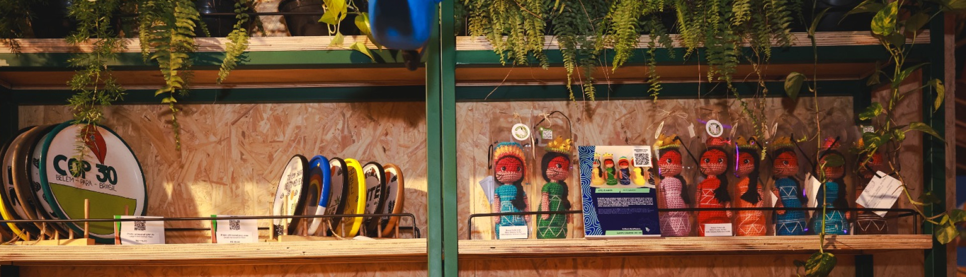 ASN Pará - Agência Sebrae de Notícias