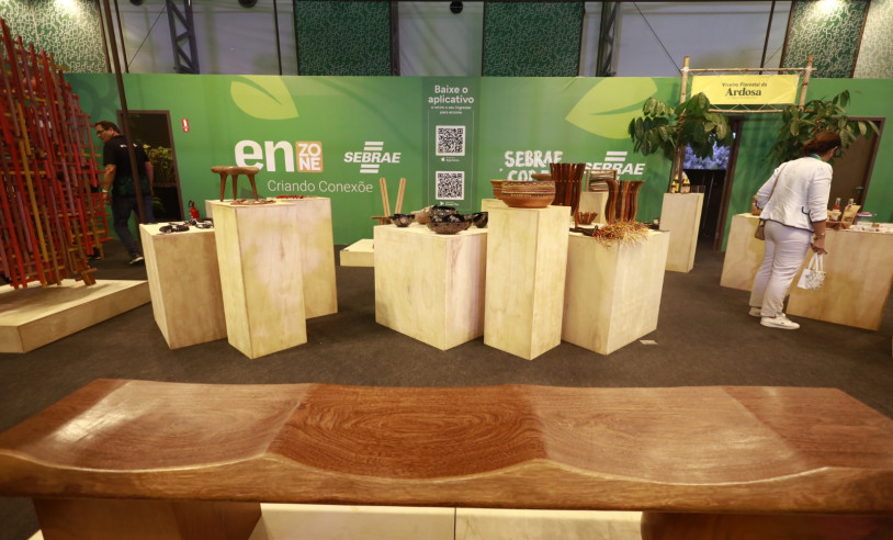 ASN Pará - Agência Sebrae de Notícias