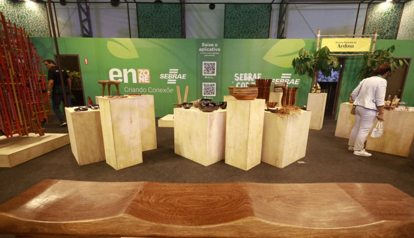 ASN Pará - Agência Sebrae de Notícias