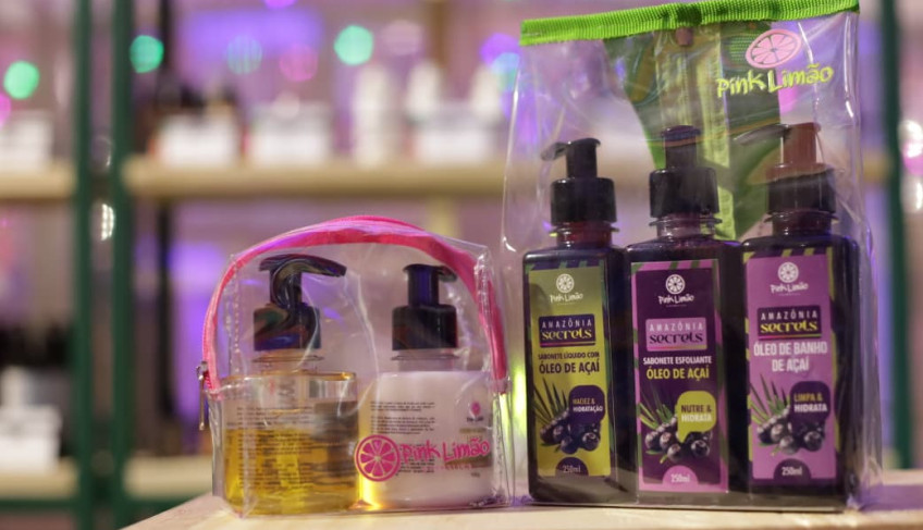 ASN Pará - Agência Sebrae de Notícias