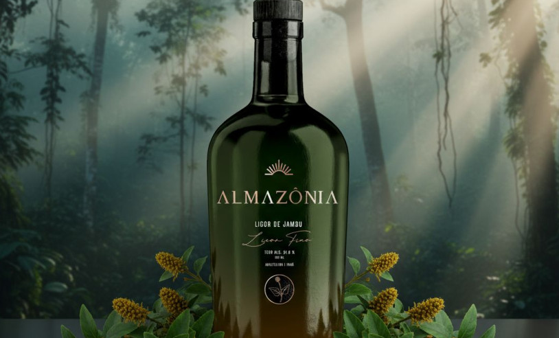 ASN Pará - Agência Sebrae de Notícias