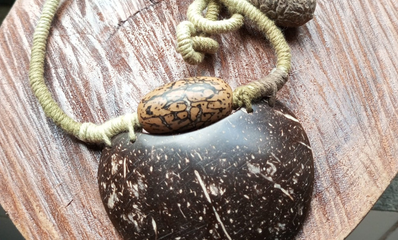 ASN Pará - Agência Sebrae de Notícias