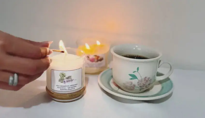 ASN Pará - Agência Sebrae de Notícias