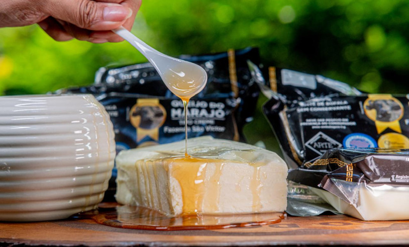 ASN Pará - Agência Sebrae de Notícias