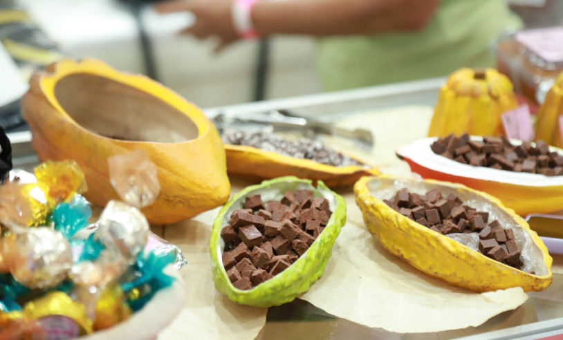 ASN Pará - Agência Sebrae de Notícias