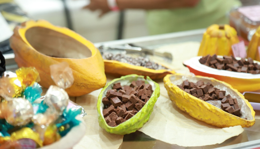 ASN Pará - Agência Sebrae de Notícias