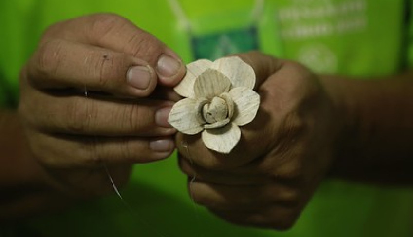ASN Pará - Agência Sebrae de Notícias