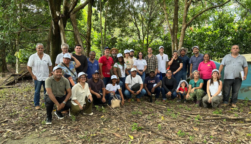 ASN Pará - Agência Sebrae de Notícias