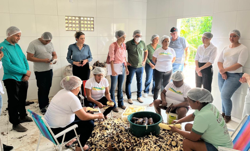 ASN Pará - Agência Sebrae de Notícias