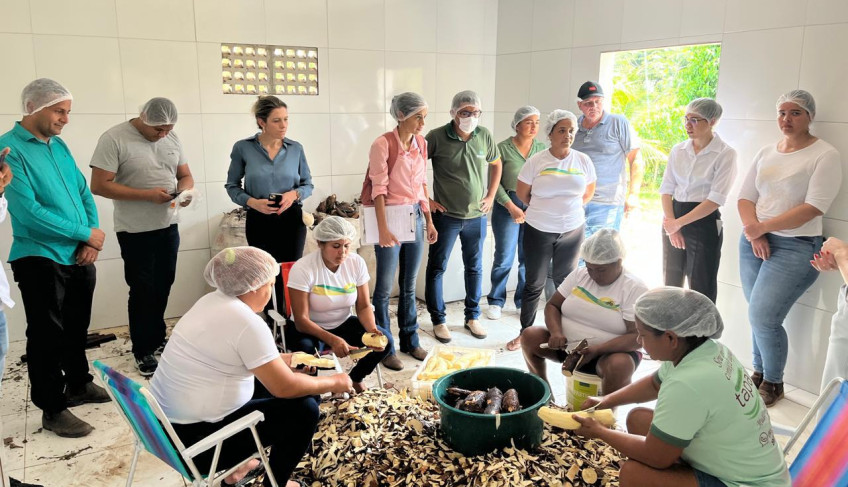 ASN Pará - Agência Sebrae de Notícias