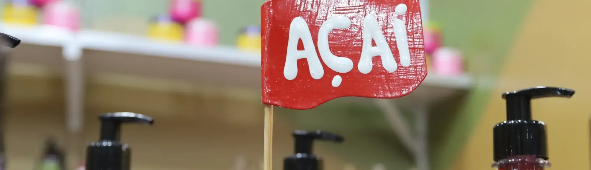 ASN Pará - Agência Sebrae de Notícias