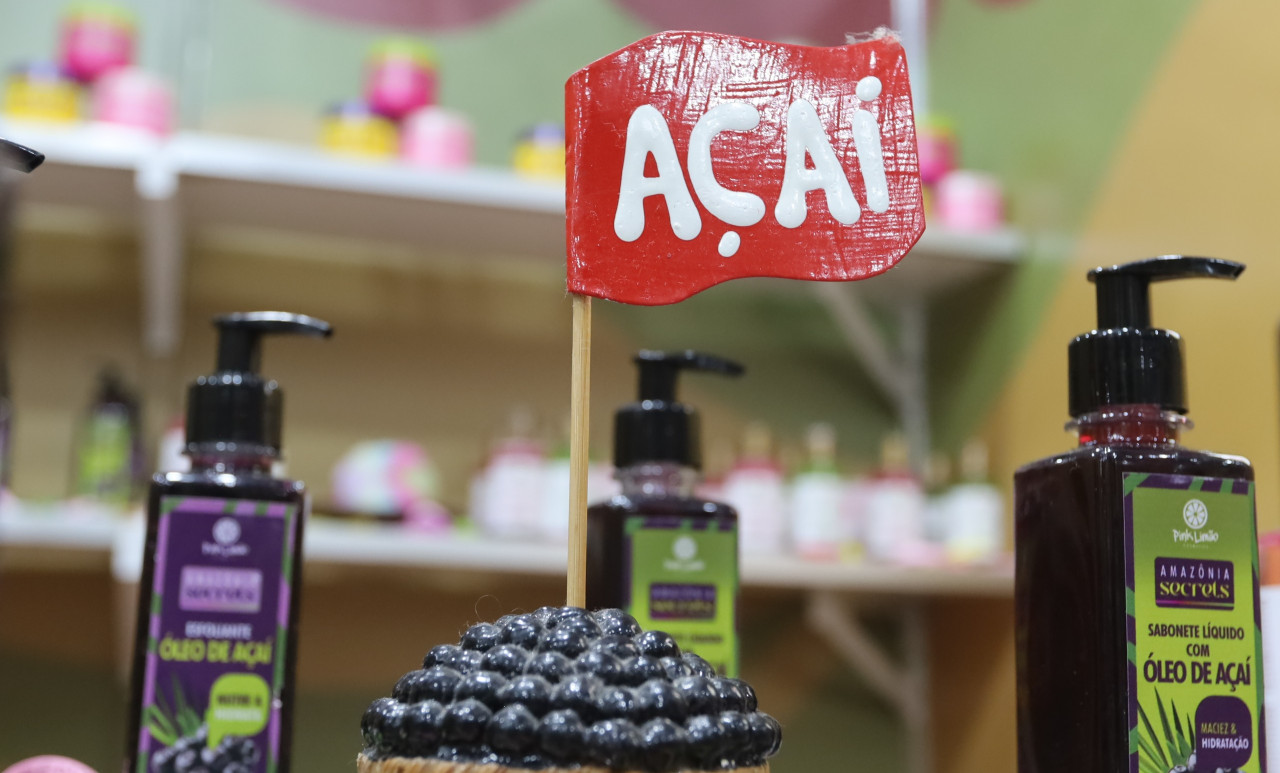ASN Pará - Agência Sebrae de Notícias