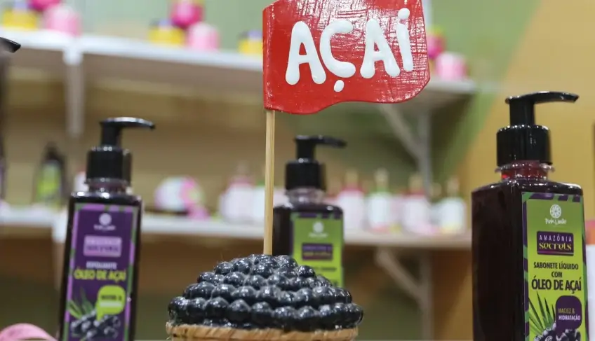 ASN Pará - Agência Sebrae de Notícias