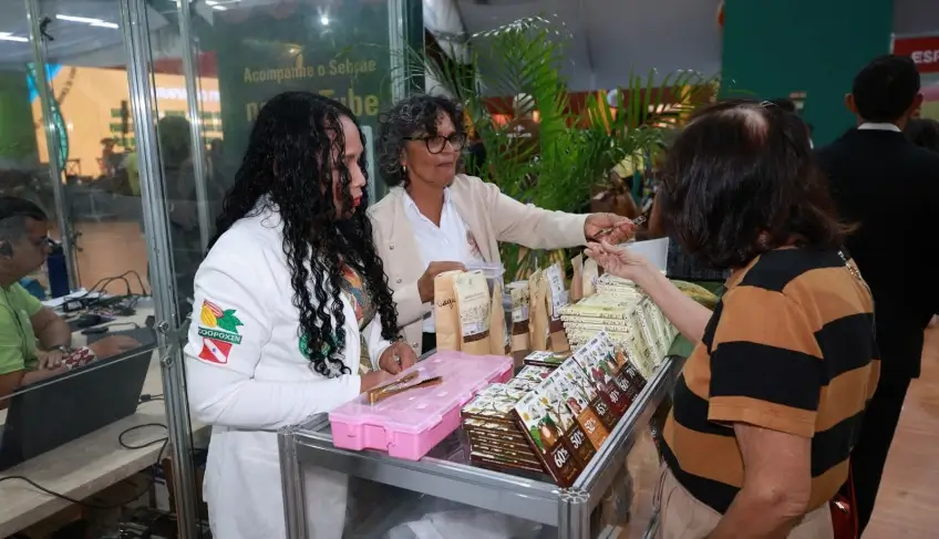 ASN Pará - Agência Sebrae de Notícias